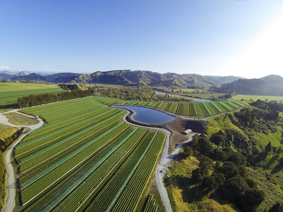 Riversun Whatatutu Field Nursery