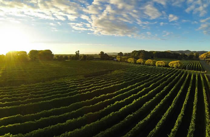 Riversun Waihuka Source Block
