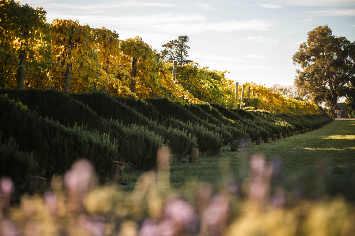 Riversun Waihuka Source Block