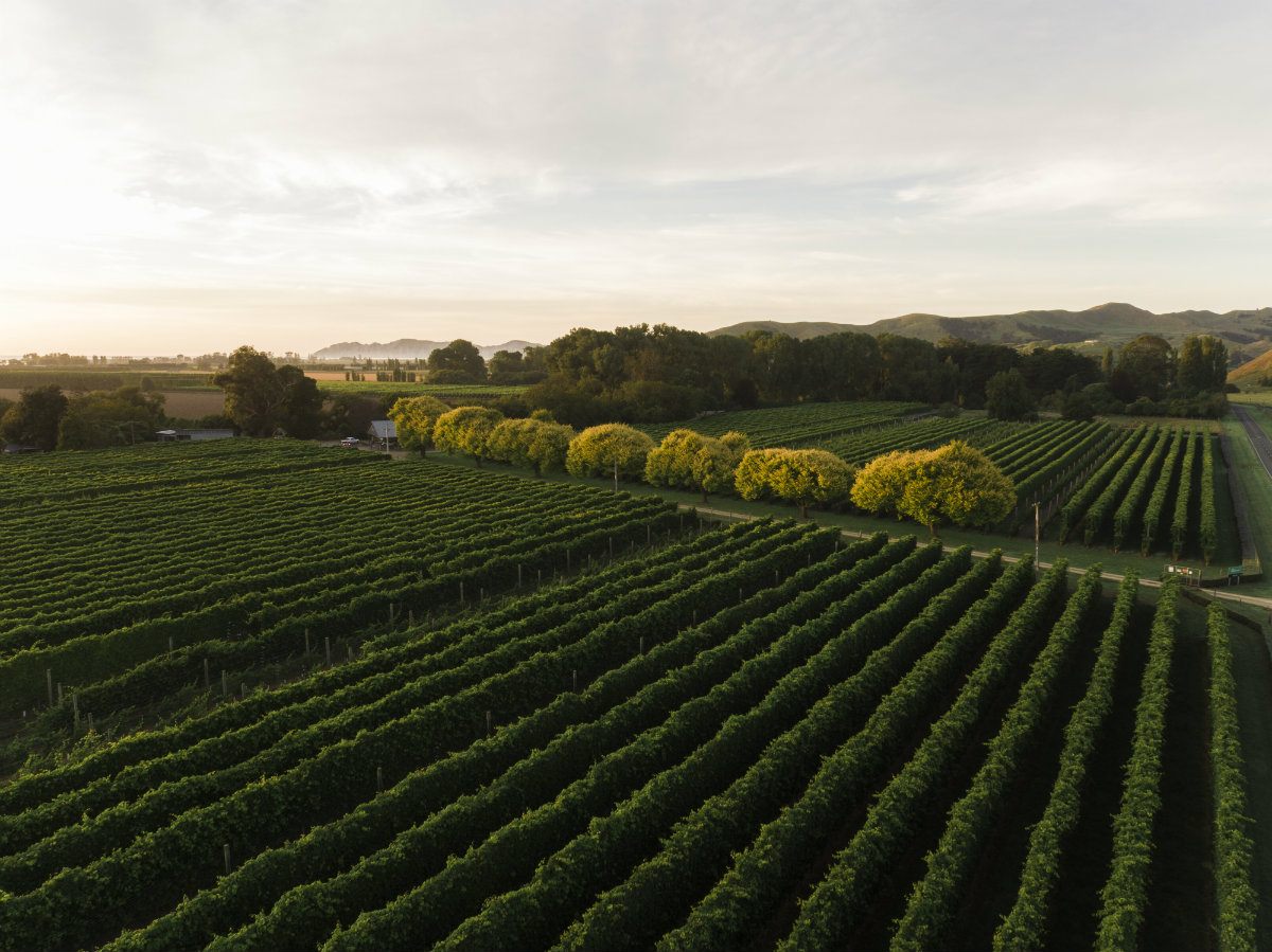 Riversun Waihuka Source Block