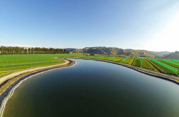 Riversun Whatatutu Field Nursery