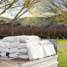 Harvested sourcewood ready to go to the processing shed