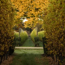 Waihuka source block - the change of seasons