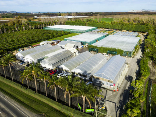 "" Matawhero Nursery June 2