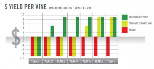 Yield Per Vine2