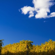 A magnificent Autumn day