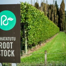 Whatatutu Rootstock Block